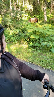 Onalea and Moose Coastal trail