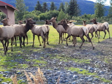 AK Conservation Center