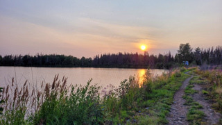 Lake by forest fire